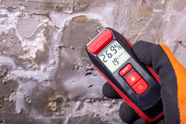 Best Commercial Mold Removal  in Bronte, TX